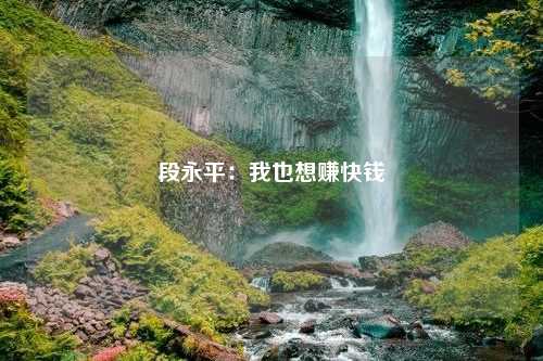 段永平：我也想赚快钱