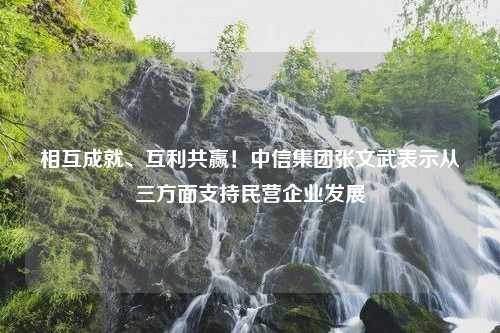 相互成就、互利共赢！中信集团张文武表示从三方面支持民营企业发展