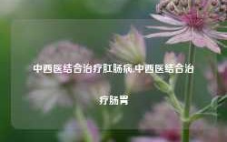 中西医结合治疗肛肠病,中西医结合治疗肠胃