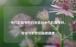 中六肛肠专科白夜追凶中六肛肠专科，专业守护您的肠道健康