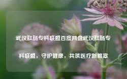 武汉肛肠专科联盟百度网盘武汉肛肠专科联盟，守护健康，共筑医疗新篇章