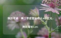 浙江龙盛：第三季度营业收入36.55亿元，同比增长1.23%