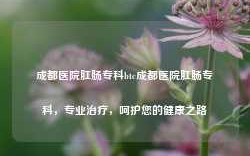 成都医院肛肠专科btc成都医院肛肠专科，专业治疗，呵护您的健康之路