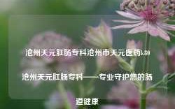 沧州天元肛肠专科沧州市天元医药k80沧州天元肛肠专科——专业守护您的肠道健康