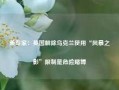 美专家：英国解除乌克兰使用“风暴之影”限制是危险赌博