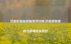 沈阳肛肠医院肠息肉切除,沈阳做肠息肉切除哪家医院好