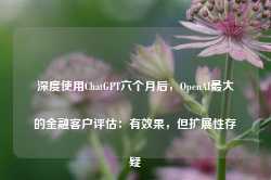 深度使用ChatGPT六个月后，OpenAI最大的金融客户评估：有效果，但扩展性存疑