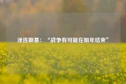 泽连斯基：“战争有可能在明年结束”