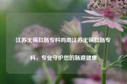 江苏无锡肛肠专科鸣潮江苏无锡肛肠专科，专业守护您的肠道健康-第1张图片-福州肛肠医院