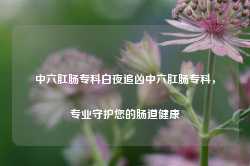 中六肛肠专科白夜追凶中六肛肠专科，专业守护您的肠道健康-第1张图片-福州肛肠医院