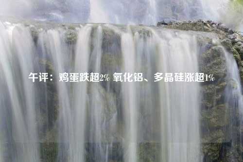 午评：鸡蛋跌超2% 氧化铝、多晶硅涨超1%