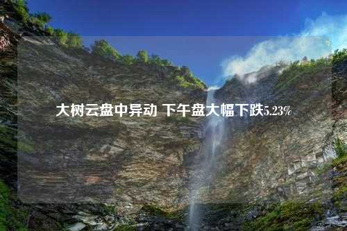 大树云盘中异动 下午盘大幅下跌5.23%