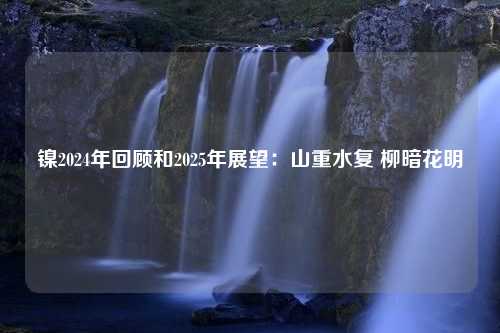 镍2024年回顾和2025年展望：山重水复 柳暗花明