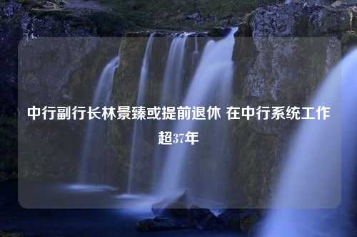 中行副行长林景臻或提前退休 在中行系统工作超37年