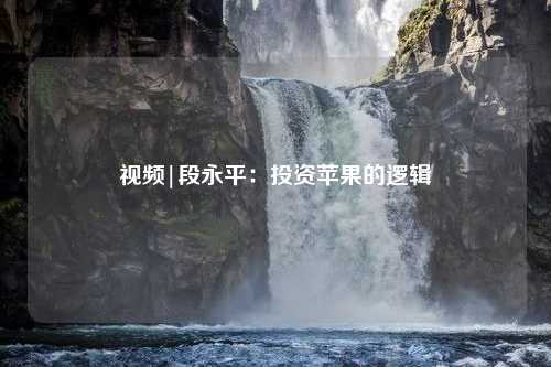 视频|段永平：投资苹果的逻辑