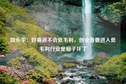 段永平：好赛道不会低毛利，创业者要进入低毛利行业是脑子坏了