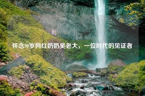 怀念90岁网红奶奶吴老大，一位时代的见证者