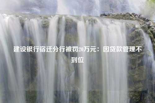 建设银行宿迁分行被罚20万元：因贷款管理不到位