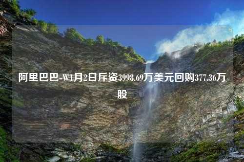 阿里巴巴-W1月2日斥资3998.69万美元回购377.36万股