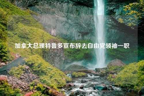 加拿大总理特鲁多宣布辞去自由党领袖一职