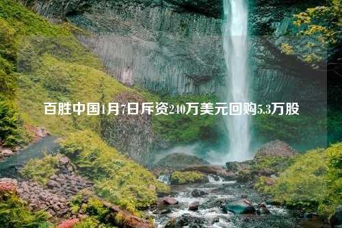 百胜中国1月7日斥资240万美元回购5.3万股