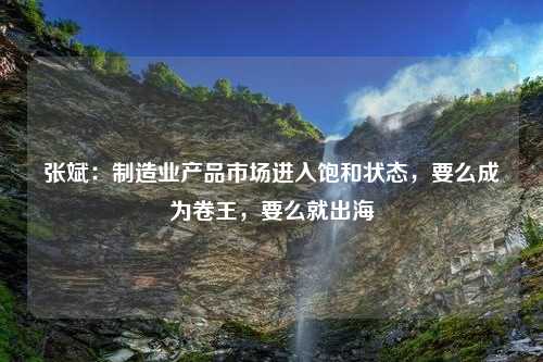 张斌：制造业产品市场进入饱和状态，要么成为卷王，要么就出海