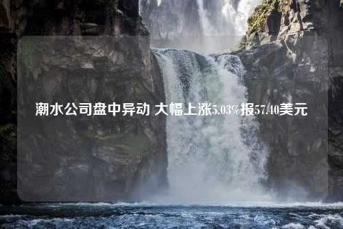 潮水公司盘中异动 大幅上涨5.03%报57.40美元