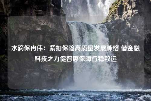 水滴保冉伟：紧扣保险高质量发展脉络 借金融科技之力促普惠保障行稳致远