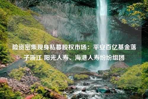 险资密集现身私募股权市场：平安百亿基金落子浙江 阳光人寿、海港人寿纷纷组团