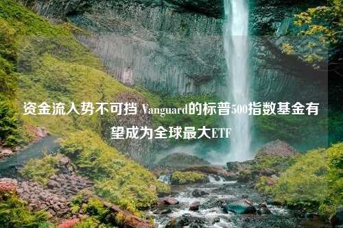 资金流入势不可挡 Vanguard的标普500指数基金有望成为全球最大ETF