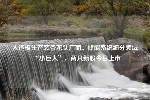 人造板生产装备龙头厂商、储能系统细分领域“小巨人”，两只新股今日上市