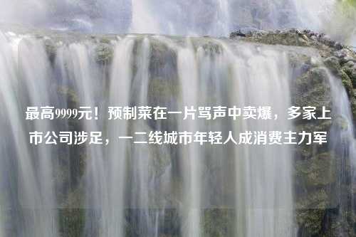 最高9999元！预制菜在一片骂声中卖爆，多家上市公司涉足，一二线城市年轻人成消费主力军