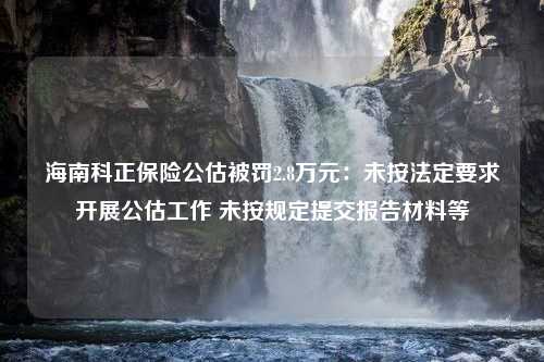 海南科正保险公估被罚2.8万元：未按法定要求开展公估工作 未按规定提交报告材料等