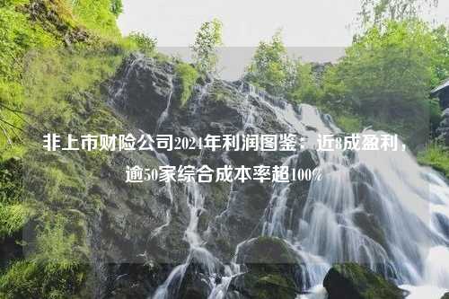 非上市财险公司2024年利润图鉴：近8成盈利，逾50家综合成本率超100%