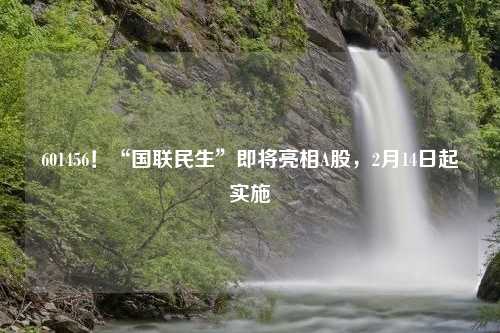 601456！“国联民生”即将亮相A股，2月14日起实施