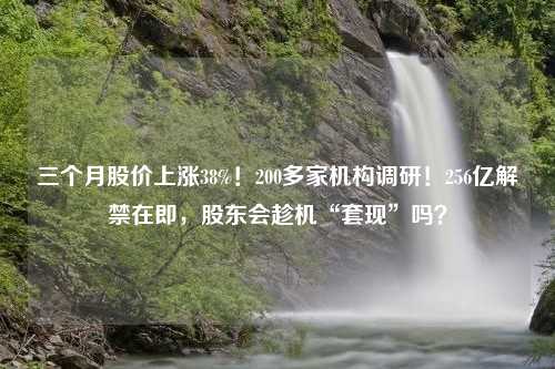 三个月股价上涨38%！200多家机构调研！256亿解禁在即，股东会趁机“套现”吗？