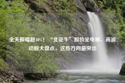 全天振幅超40%！“北证牛”股价坐电梯，高波动股大盘点，这些方向最突出