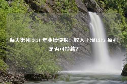 海大集团 2024 年业绩快报：收入下滑1.23% 盈利是否可持续？