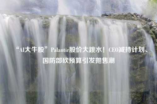 “AI大牛股”Palantir股价大跳水！CEO减持计划、国防部砍预算引发抛售潮